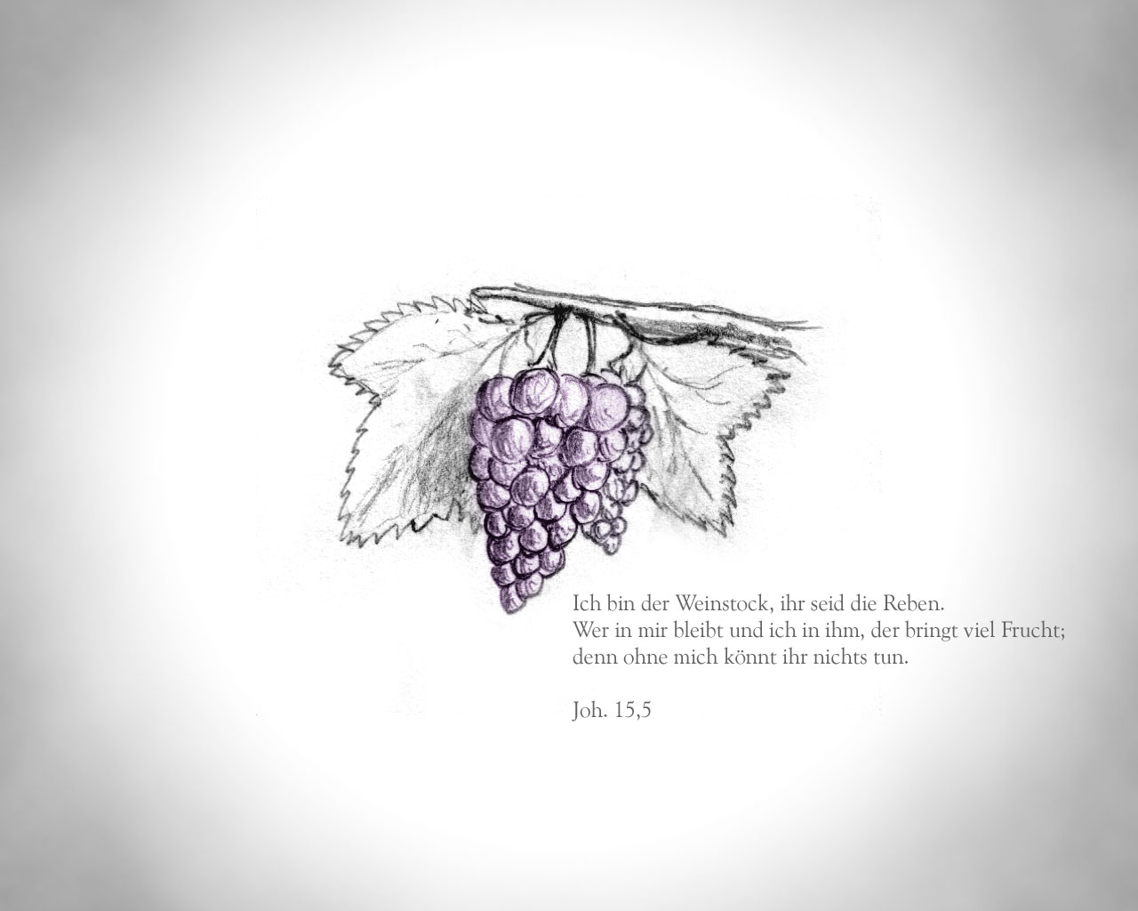 Jesuspower (166).jpg